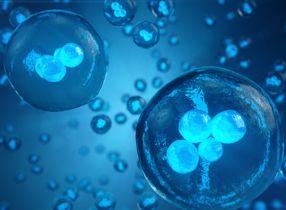 تجميد الأجنة 