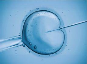 تحفيز الإباضة 