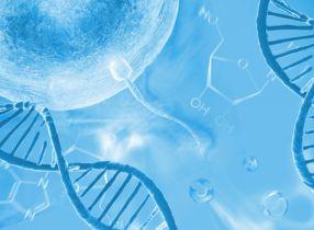 (PGD) الفحص الوراثي للأجنة