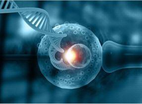 (PGS) الفحص الوراثي للأجنة